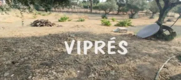 Imóvel comercial T2 em Arroyo de la Luz, Spain N.º 180106 38