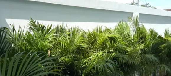 3 bedrooms Villa for sale in Phuket, Southern Thailand, Thailand № 79794 6
