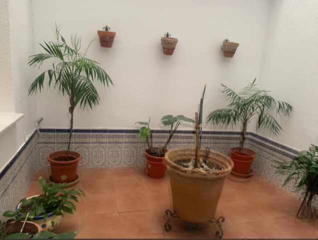 3 غرف نوم شقة في Sanlucar de Barrameda, Spain رقم 139013