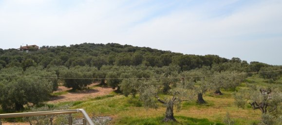 3 rooms Property in Chalkidiki, Greece No. 5751 18