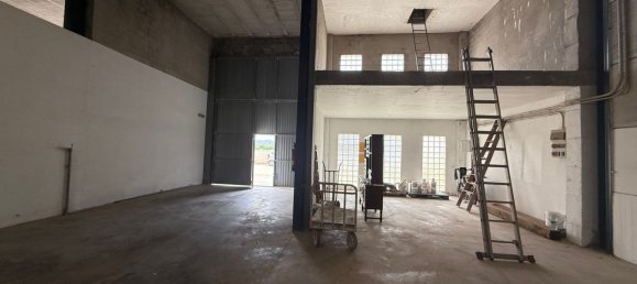 1209m² Warehouse in Valencia, Spain No. 156136 9