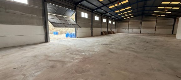 1209m² Warehouse in Valencia, Spain No. 156136 2
