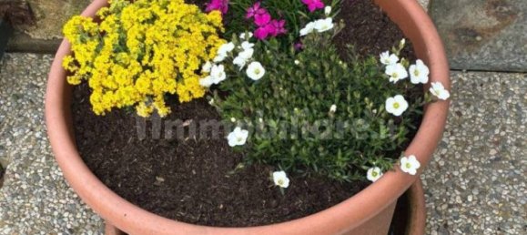 2 bedrooms Apartment in Castiglione Falletto, Italy No. 68301 10