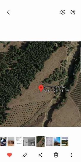 15266m² Land in Jerez Del Marquesado, Spain No. 162006
