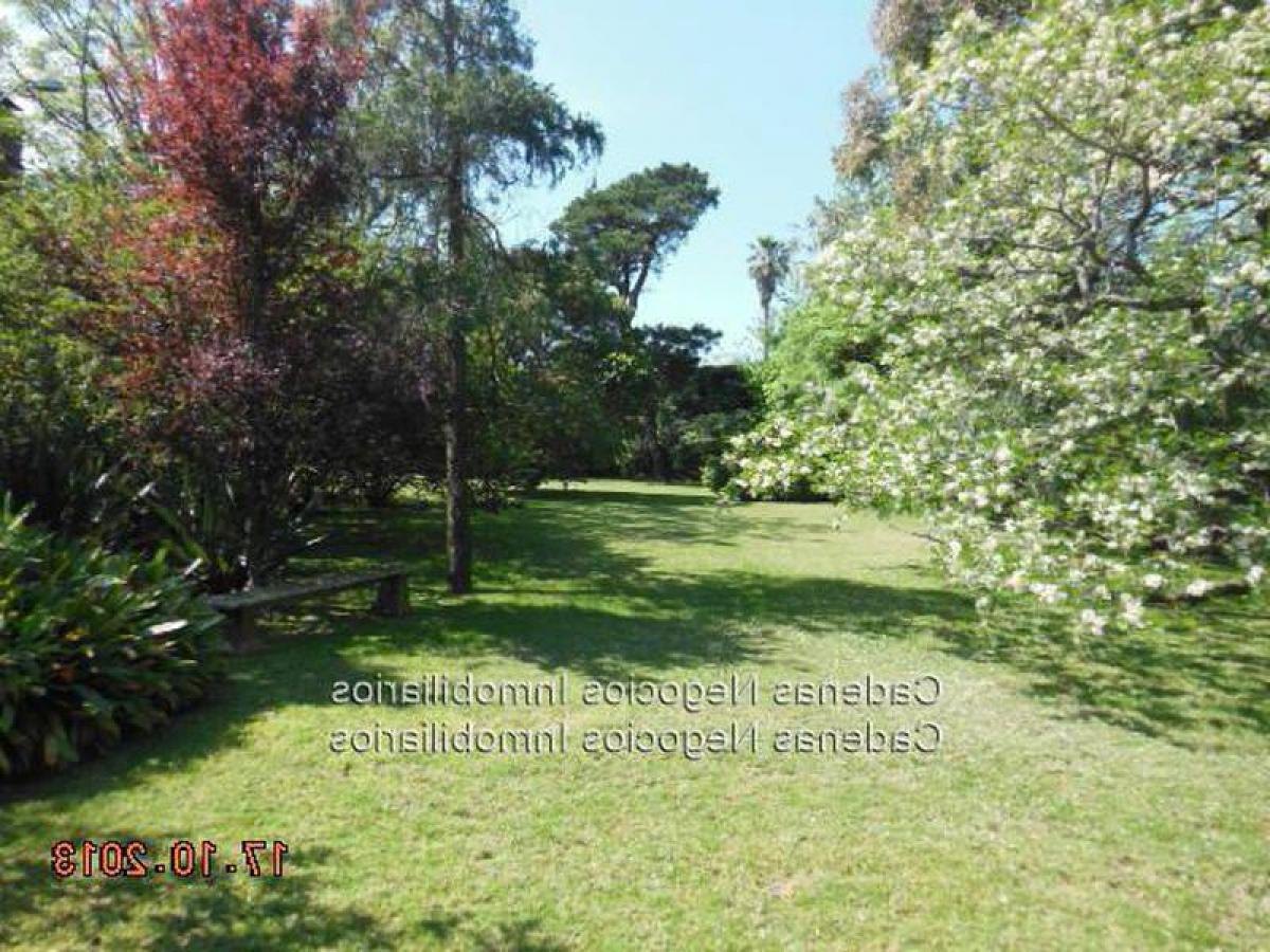 5 bedrooms Land in Montevideo, Uruguay No. 15994