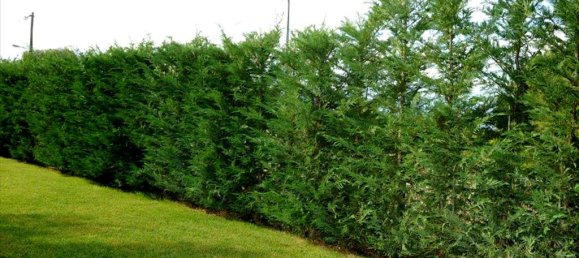 6 chambres Villa à Loutraki, Greece No. 7540 13