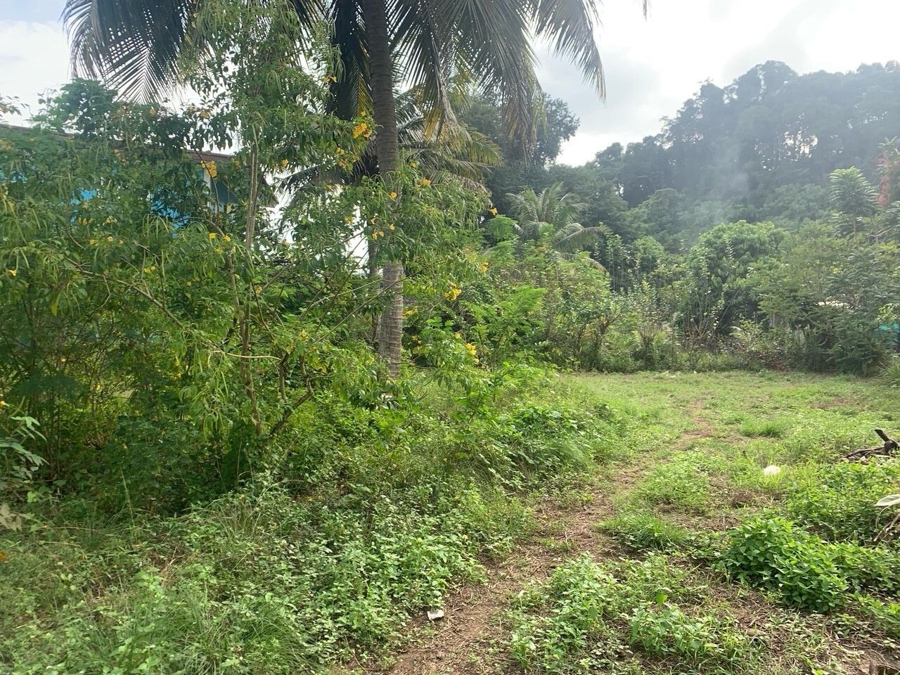 1063m² Land in Phang Nga, Thailand No. 74759