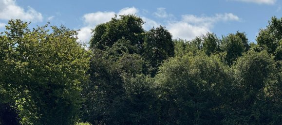 Terreno en Waldeck-Frankenberg, Germany No. 240706 5