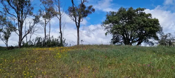 2 bedrooms Villa in Santa Catarina da Fonte do Bispo, Portugal No. 62371 29