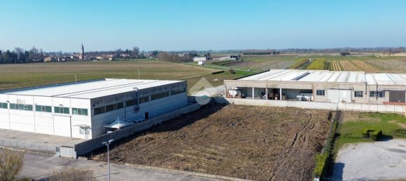 2200m² Land in Torre de' Picenardi, Italy No. 116686 5