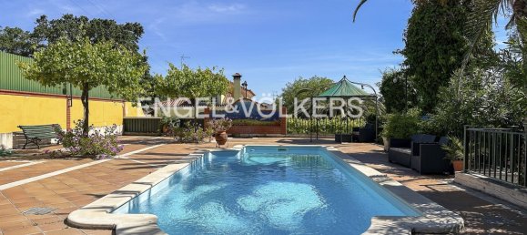 8 bedrooms Townhouse in Torres Novas, Portugal No. 49943 6