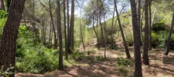 5 غرف نوم منزل في Naquera, Spain رقم 137202 20