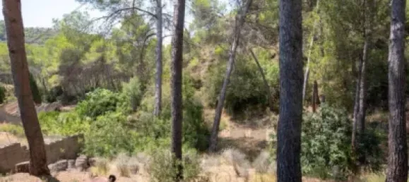 5 غرف نوم منزل في Naquera, Spain رقم 137202 13