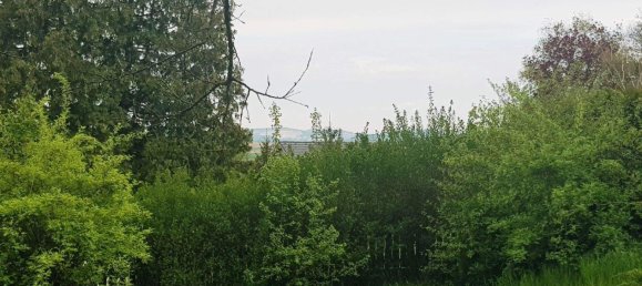 Terreno en Harmannsdorf, Austria No. 247541 6