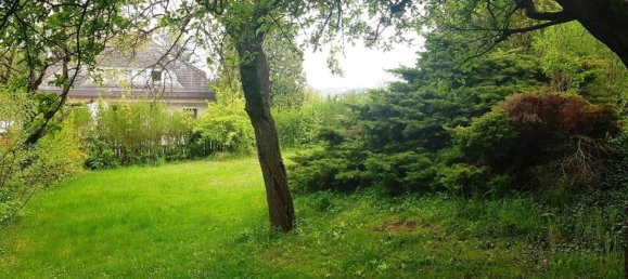 Terreno en Harmannsdorf, Austria No. 247541 5