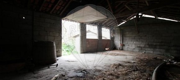 3 Schlafzimmer Haus in Mosteiro, Portugal, Nr. 42583 4