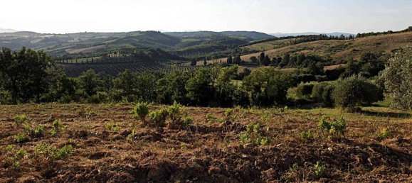 13 rooms House in Cinigiano, Italy No. 112020 18