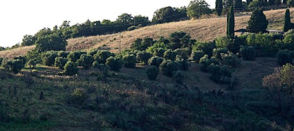 13 rooms House in Cinigiano, Italy No. 112020 14