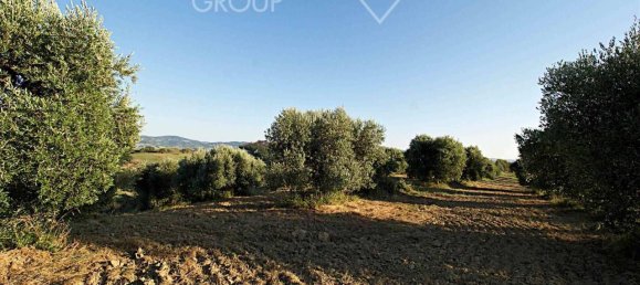 13 rooms House in Cinigiano, Italy No. 112020 21