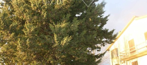 13 rooms House in Cinigiano, Italy No. 112020 23