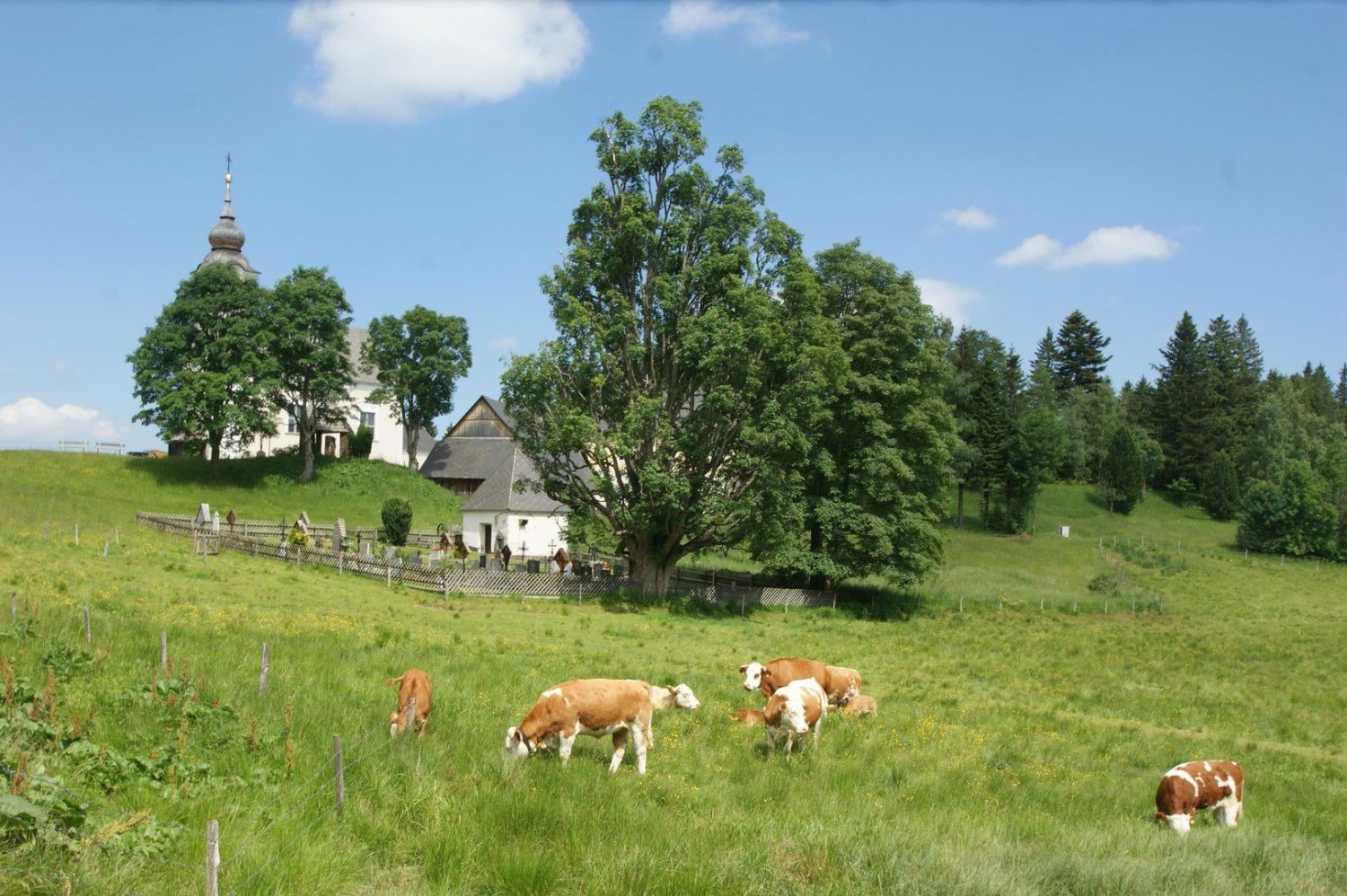  Land in Bad Schwanberg, Austria No. 132914