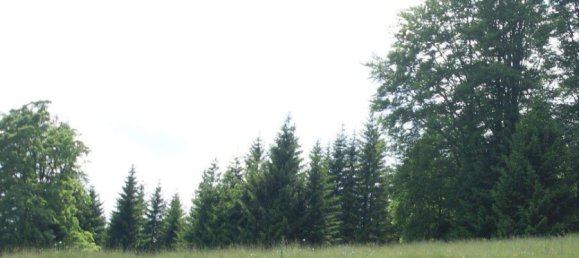  Land in Bad Schwanberg, Austria No. 132914 6