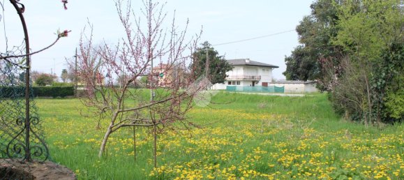 Дом с 4 комнатами в Мотта ди Ливенца, Италия № 121558 11