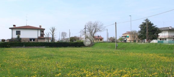 Дом с 4 комнатами в Мотта ди Ливенца, Италия № 121558 12