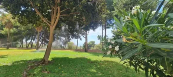 Apartamento de 1 dormitorio en Benalmádena, Spain No. 138304 24