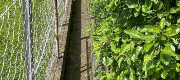 4 rooms House in Theresienfeld, Austria No. 48673 18