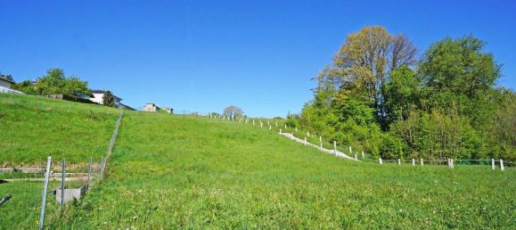 Terrain à Wolfsgraben, Austria No. 108403 3