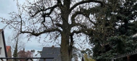 Grundstück in Elbe-Elster, Germany, Nr. 275778 8