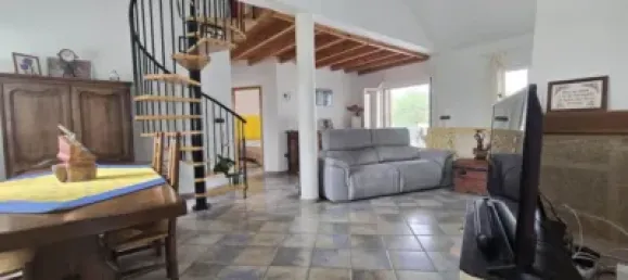 7 bedrooms House in Totana, Spain No. 171680 4