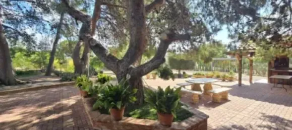 7 bedrooms House in Totana, Spain No. 171680 32