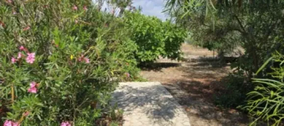 7 bedrooms House in Totana, Spain No. 171680 30