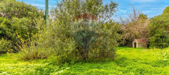 4 rooms Apartment in Stintino, Italy No. 136823 15