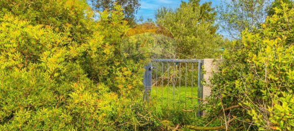 4 rooms Apartment in Stintino, Italy No. 136823 13