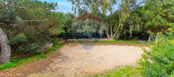 4 rooms Apartment in Stintino, Italy No. 136823 3