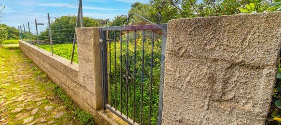 4 rooms Apartment in Stintino, Italy No. 136823 9