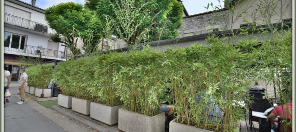 104m² Commercial property in Sainte-Foy-la-Grande, France No. 187848 7