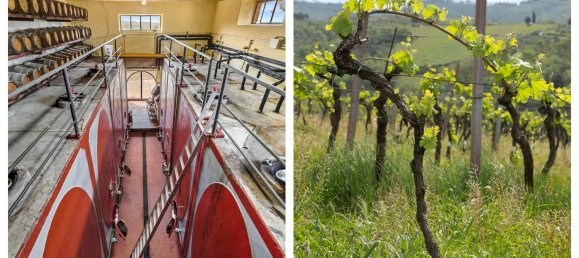 5 bedrooms Land in Gaiole in Chianti, Italy No. 53639 3