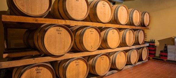 5 bedrooms Land in Gaiole in Chianti, Italy No. 53639 12