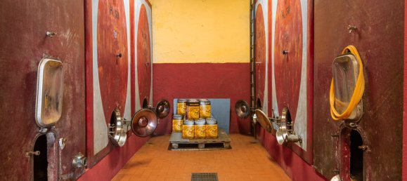 5 bedrooms Land in Gaiole in Chianti, Italy No. 53639 20