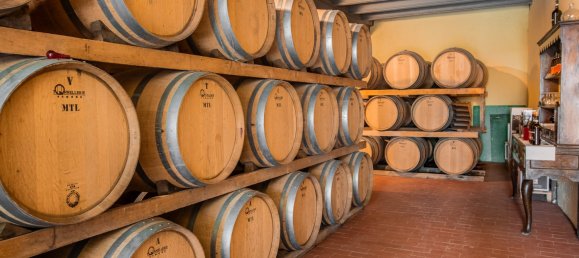 5 bedrooms Land in Gaiole in Chianti, Italy No. 53639 10