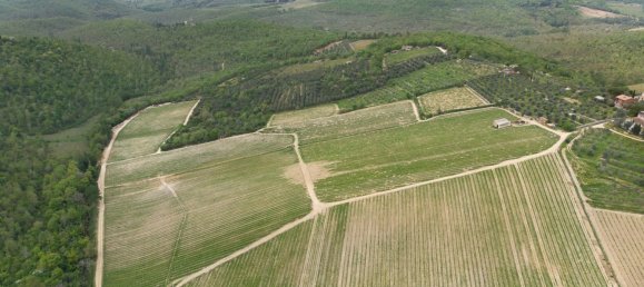 5 bedrooms Land in Gaiole in Chianti, Italy No. 53639 46