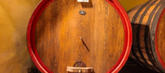 5 bedrooms Land in Gaiole in Chianti, Italy No. 53639 13