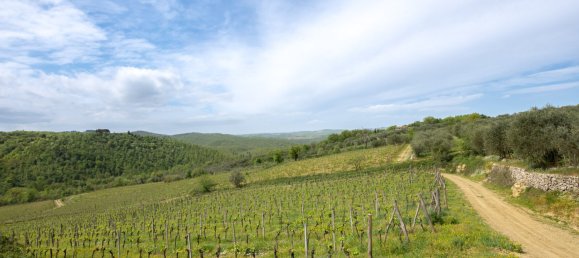 5 bedrooms Land in Gaiole in Chianti, Italy No. 53639 37