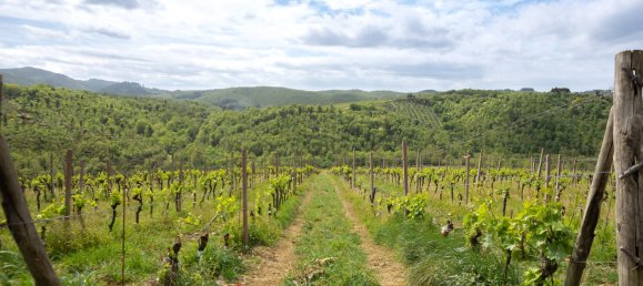 5 bedrooms Land in Gaiole in Chianti, Italy No. 53639 35