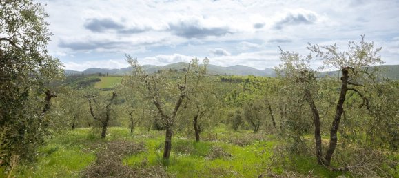 5 bedrooms Land in Gaiole in Chianti, Italy No. 53639 34