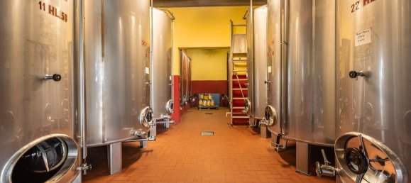 5 bedrooms Land in Gaiole in Chianti, Italy No. 53639 17